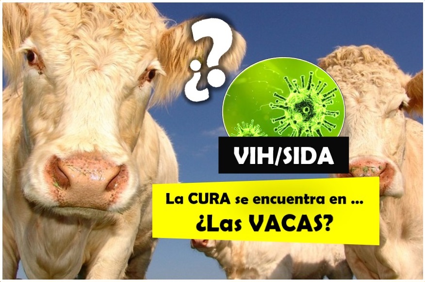 Ganar la batalla contra el Virus de Inmunodeficiencia Humana (VIH) está más cerca, como combatir al vih, síntomas de síndrome de inmunodeficiencia adquirida, Canal de Ciencias + Tienda Online de Regalos de Ciencias