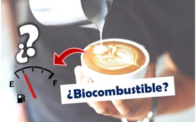 Utilizar Café como Biocombustible ¿ Realmente Es posible?