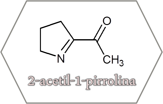 2-acetil-1-pirrolina DeCiencia, química de las palomitas de maíz