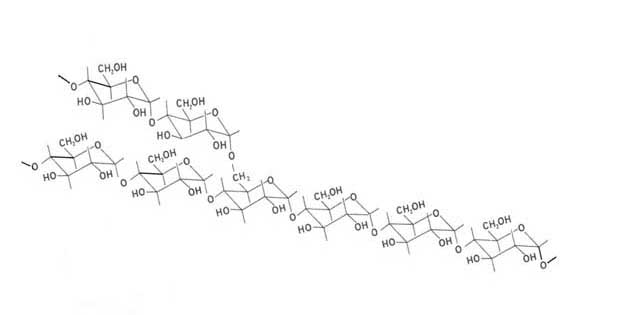 Estructura del Almidón, fuente de milksci.unizar.es