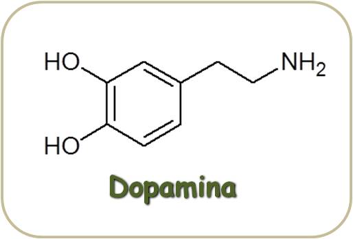 Estructura de la Dopamina - Sustancia presente en el veneno de las abejas