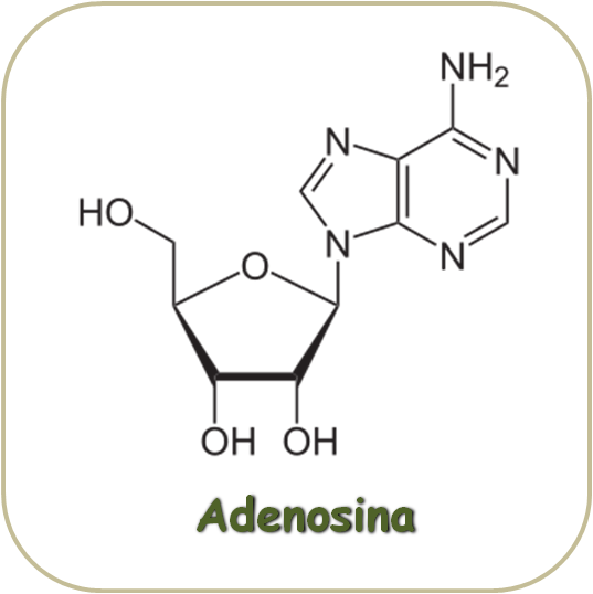 Estructura molecular de la Adenosina
