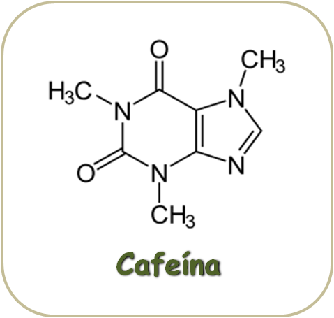 Estructura Molecular de la Cafeína