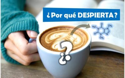 ¿POR QUÉ EL CAFÉ DESPIERTA? Los EFECTOS de la CAFEÍNA en nuestro organismo
