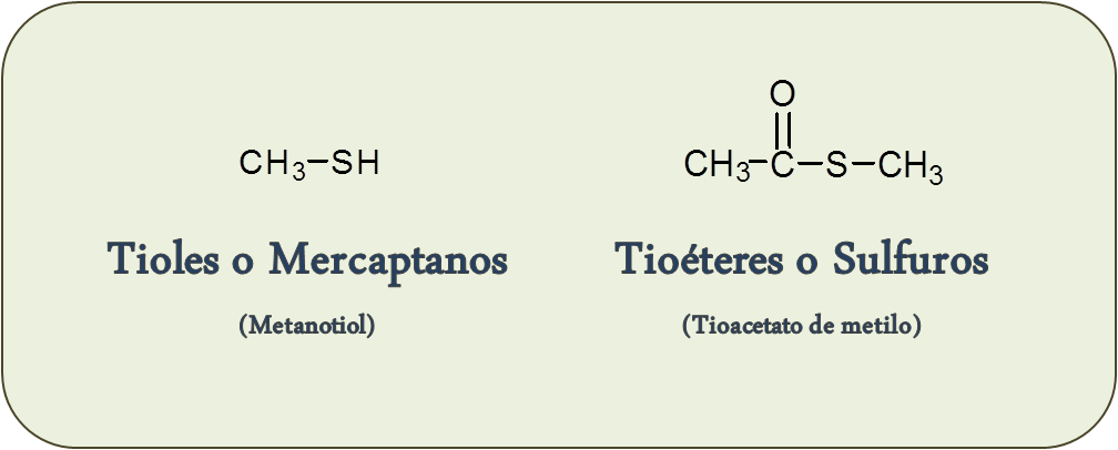 Compuestos Orgánicos con azufre - compuestos orgánicos ¿Qué son los Compuestos Orgánicos? - Diccionario de Química Orgánica?