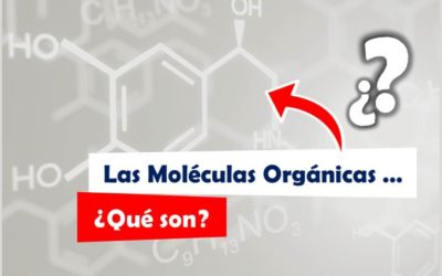 ¿Qué son las Moléculas Orgánicas o Compuestos Orgánicos? Diccionario de Química Orgánica
