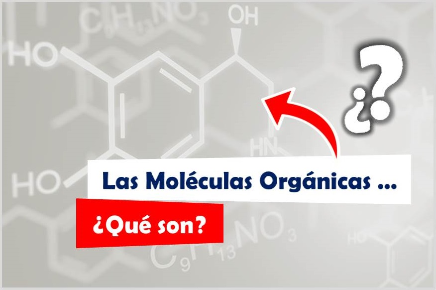 ¿Qué son las Moléculas Orgánicas o Compuestos Orgánicos? Diccionario de Química Orgánica