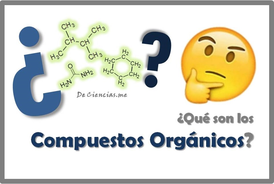 Qué son las Moléculas Orgánicas Diccionario de Química Orgánica