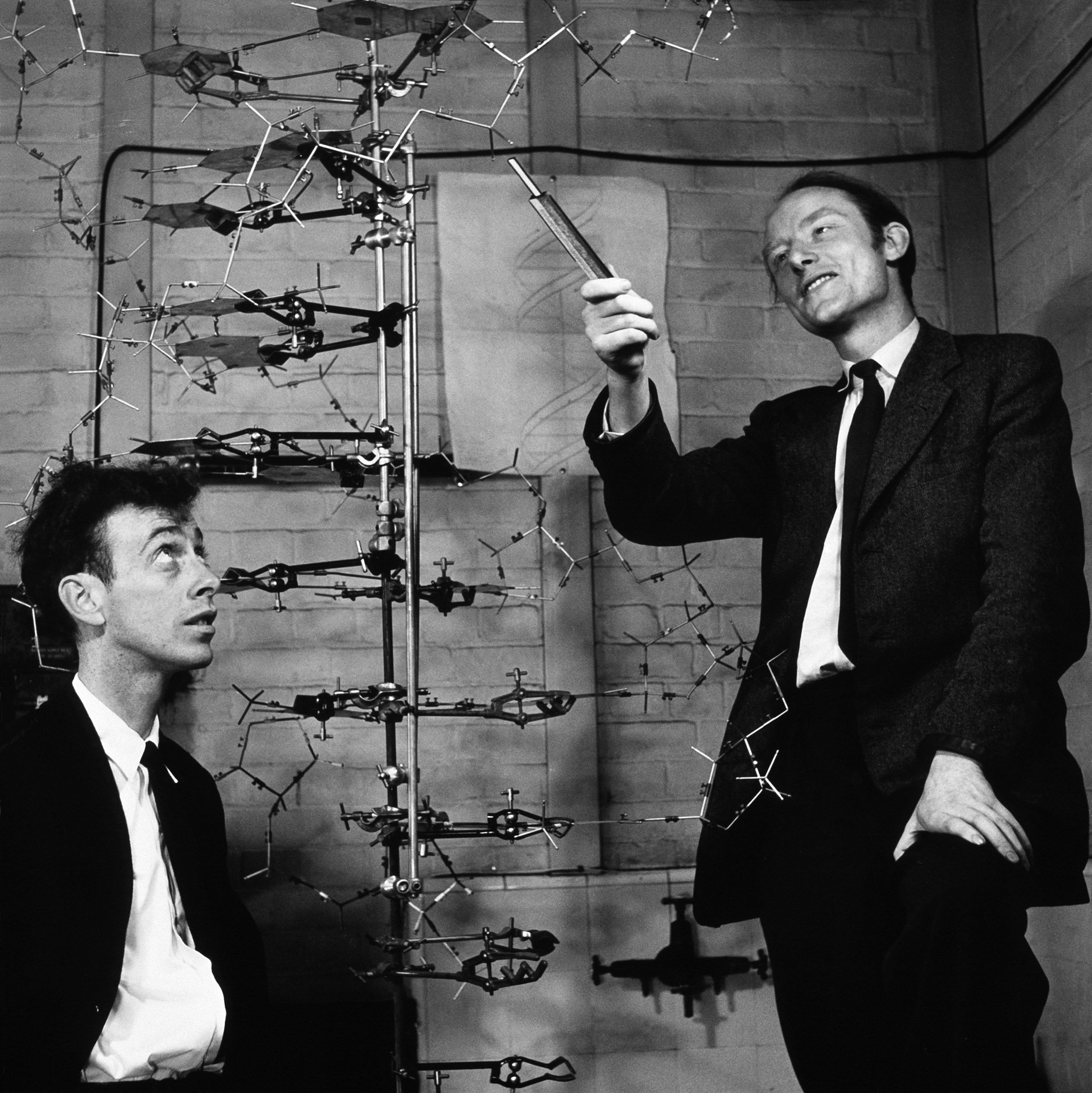 James Watson y Francis Crick con el modelo de doble hélice