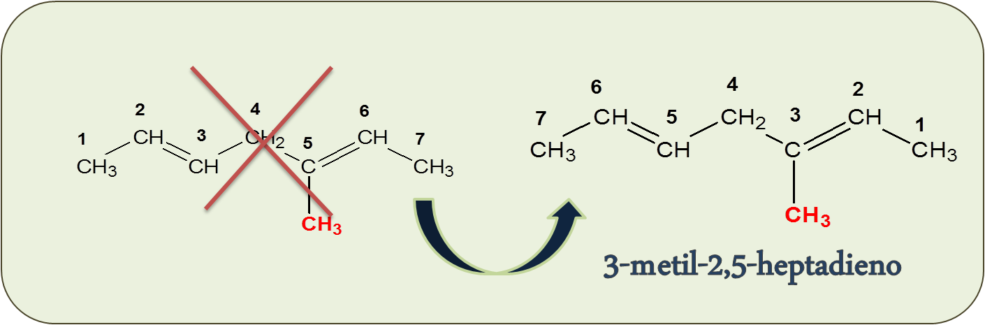 Estructura del 3-metil-2,5-heptadieno - Formulación y Nomenclatura de Alquenos