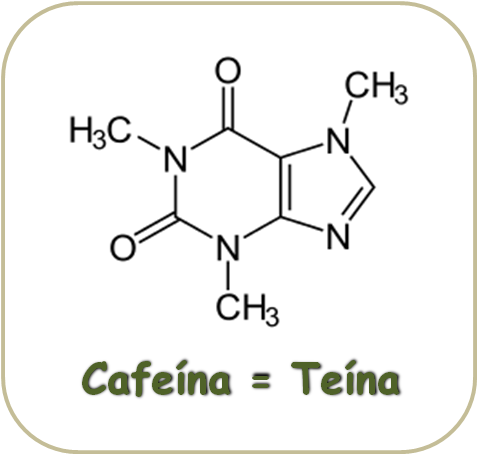 Cafeína = Teína - Cafeína es igual a la Teína ¿La TEÍNA y la CAFEÍNA son lo mismo?¿QUÉ CREES? ¡Descúbrelo YA!