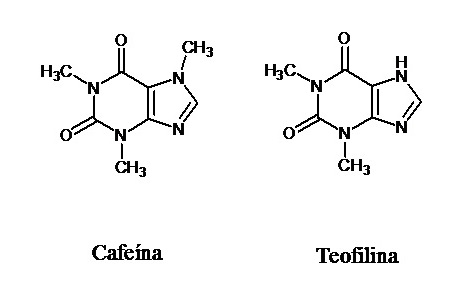 Cafeína-y-Teofilina - ¿Por qué mi cuerpo me pide Chocolate? ¿Es normal? ¿Soy chocoholic?