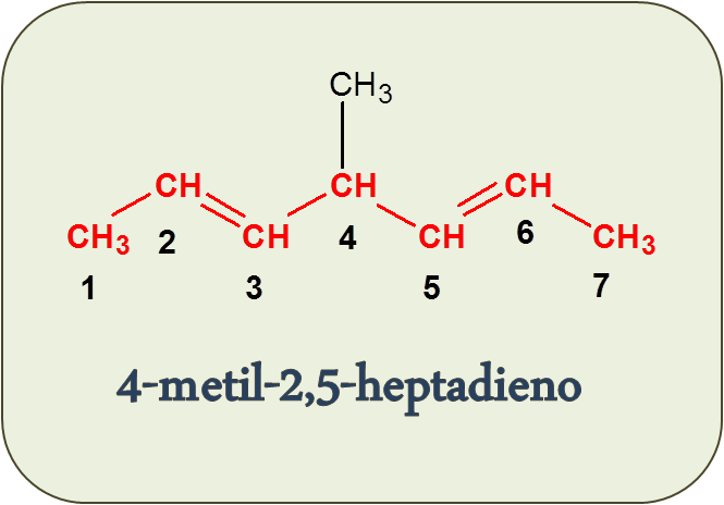 Estructura del 4-metilhepta-2,5-dieno numerado_Localizar la cadena principal del 4-metilhepta-2,5-dieno - Formulación y Nomenclatura de Alquenos