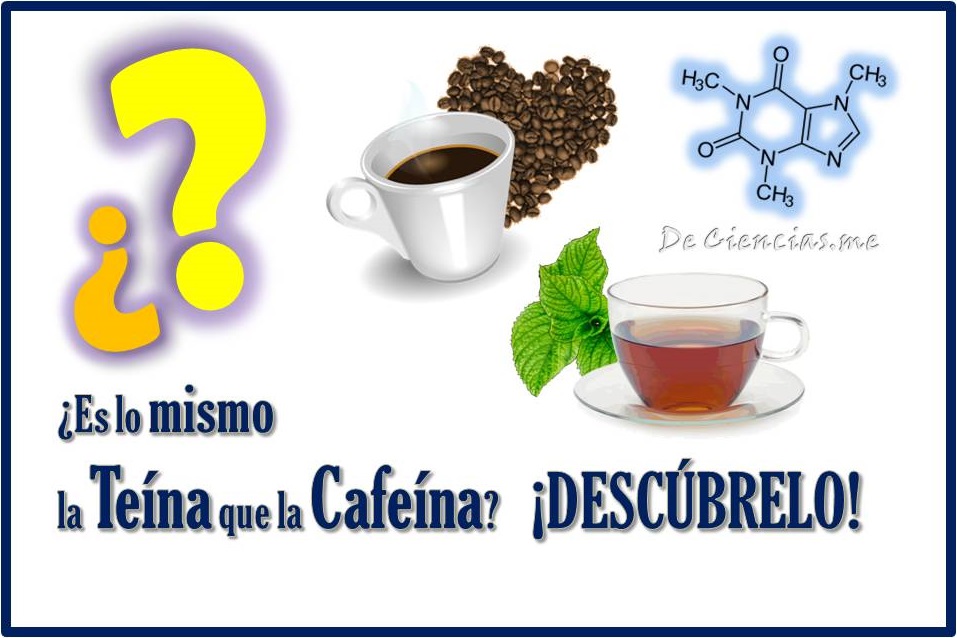 ¿La TEÍNA y la CAFEÍNA son lo mismo?¿QUÉ CREES