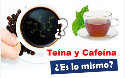 Teína y Cafeína ¿Son los mismo o son sustancias diferentes?es lo mismo teina que cafeína teina igual cafeína teina o cafeina que es mas fuerte cafeína vs teina cafeína y teina cafeína o teina teína o cafeína teína y cafeína diferencia entre la teína y la cafeína diferencia entre teina y cafeina teína y la cafeína es lo mismo la teína que la cafeína cantidad de cafeina en las bebidas contenido de cafeina en las bebidas la cafeina y el ciclismo Autocompletar de Youtube: teina y cafeína cafeina y teina cafeina teina mateina cafeina en el te verde el te verde tiene cafeína teína para que serve que bebidas tienen cafeína que alimentos tienen cafeína cafeina te verde