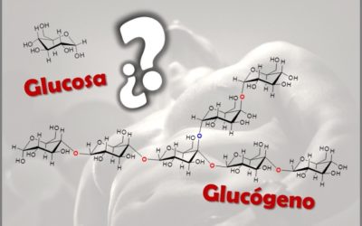 ¿Cuál es la DIFERENCIA entre GLUCOSA y GLUCÓGENO? | Diccionario de Química Orgánica