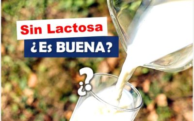 La LECHE SIN LACTOSA ¿Es BUENA? | Verdades y Mentiras de la Leche sin Lactosa