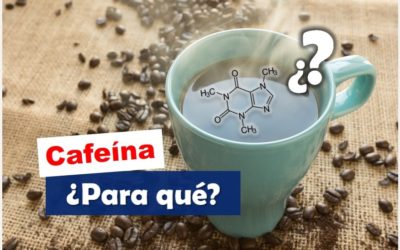 ¿Por qué las plantas sintetizan CAFEÍNA? ¿Para qué sirve?