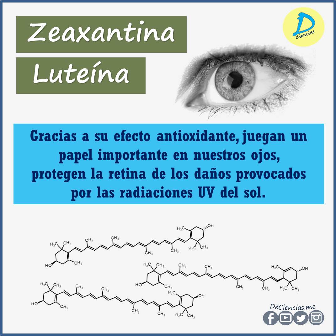 luteína y zeaxantina ¿En qué alimentos conseguirlos?