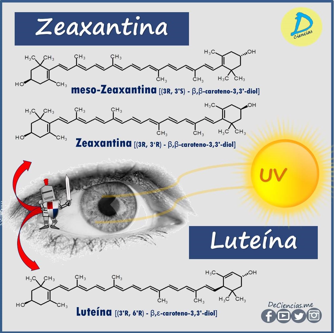 luteína y zeaxantina ¿En qué alimentos conseguirlos?