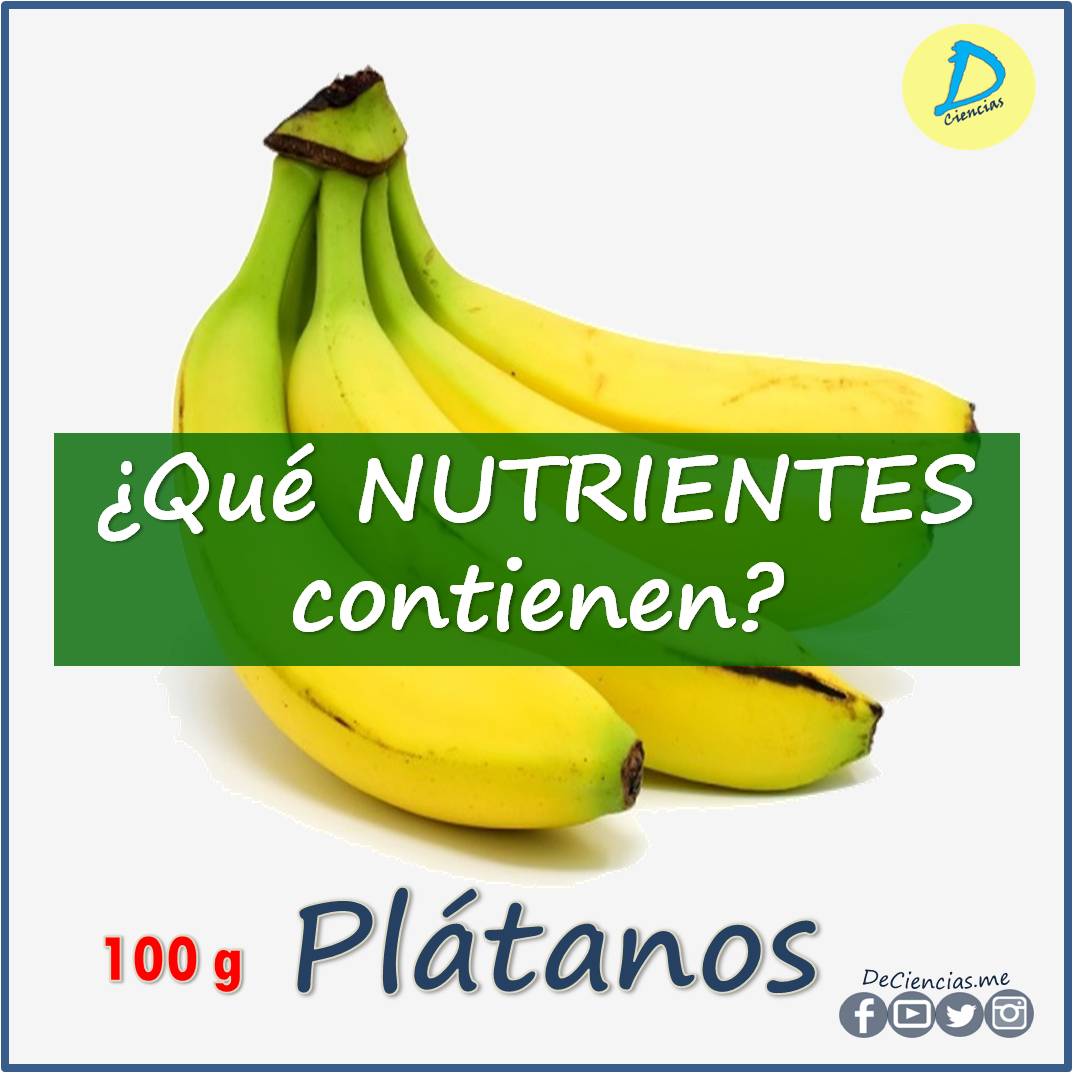 ¿Cuáles son los NUTRIENTES de los Plátanos?