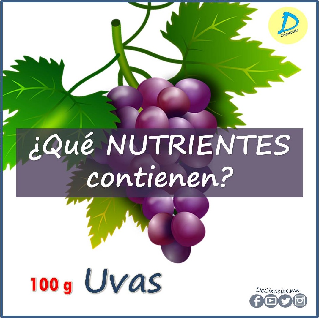 ¿Cuáles son los NUTRIENTES de las uvas?