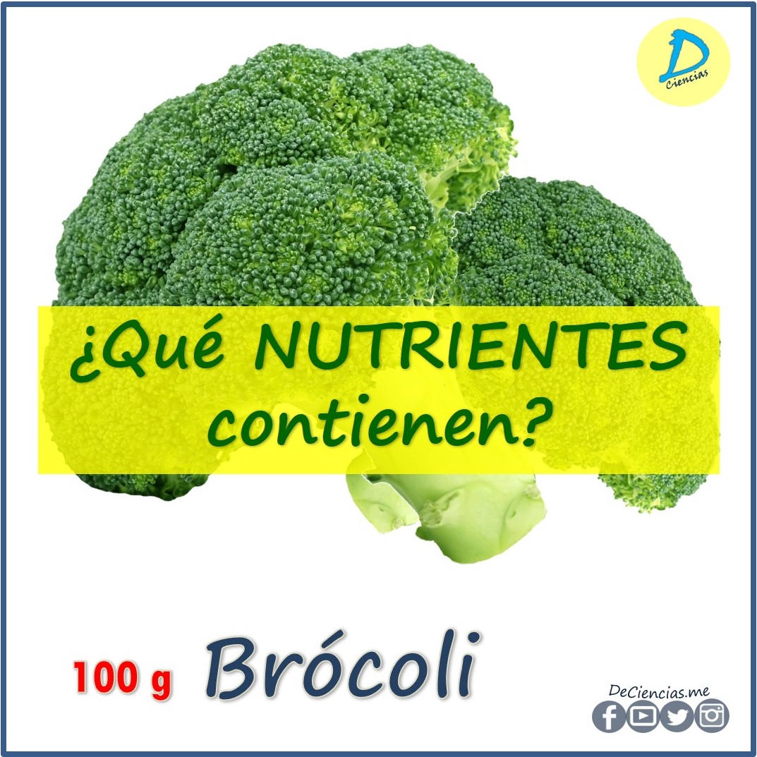 ¿Cuáles son los NUTRIENTES del brócoli?