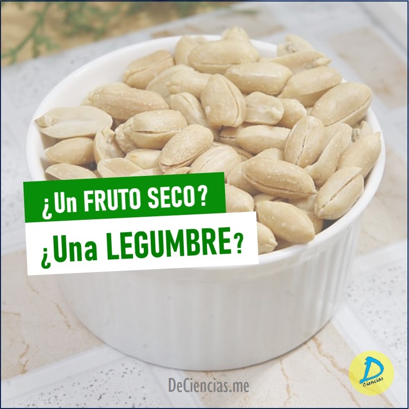 El cacahuete ¿es un fruto seco o una legumbre?
