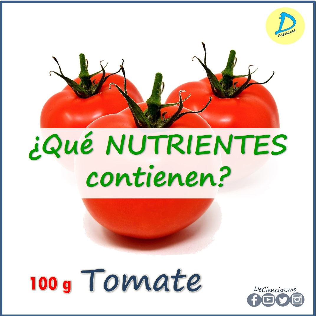 ¿Cuáles son los NUTRIENTES del Tomate?