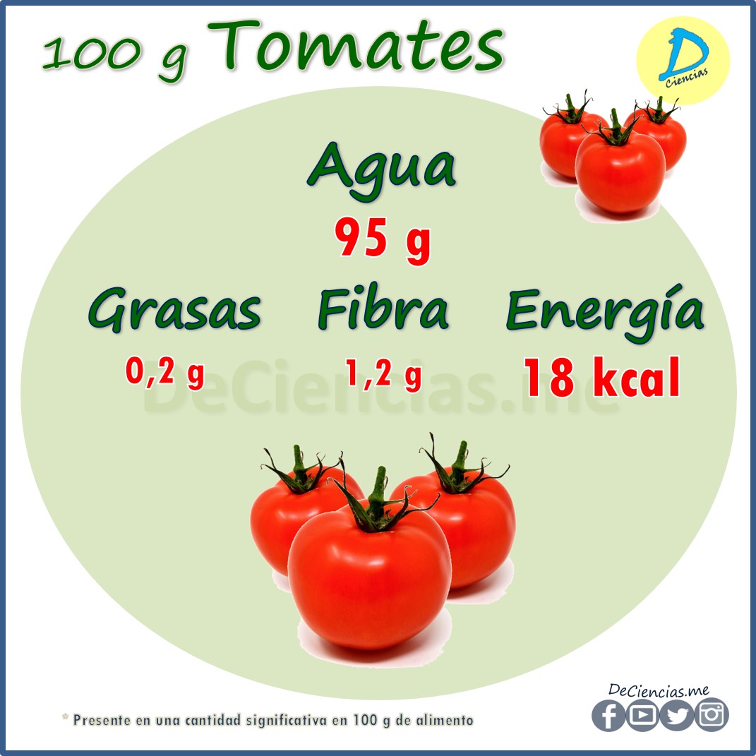 ¿Cuáles son los NUTRIENTES del Tomate?