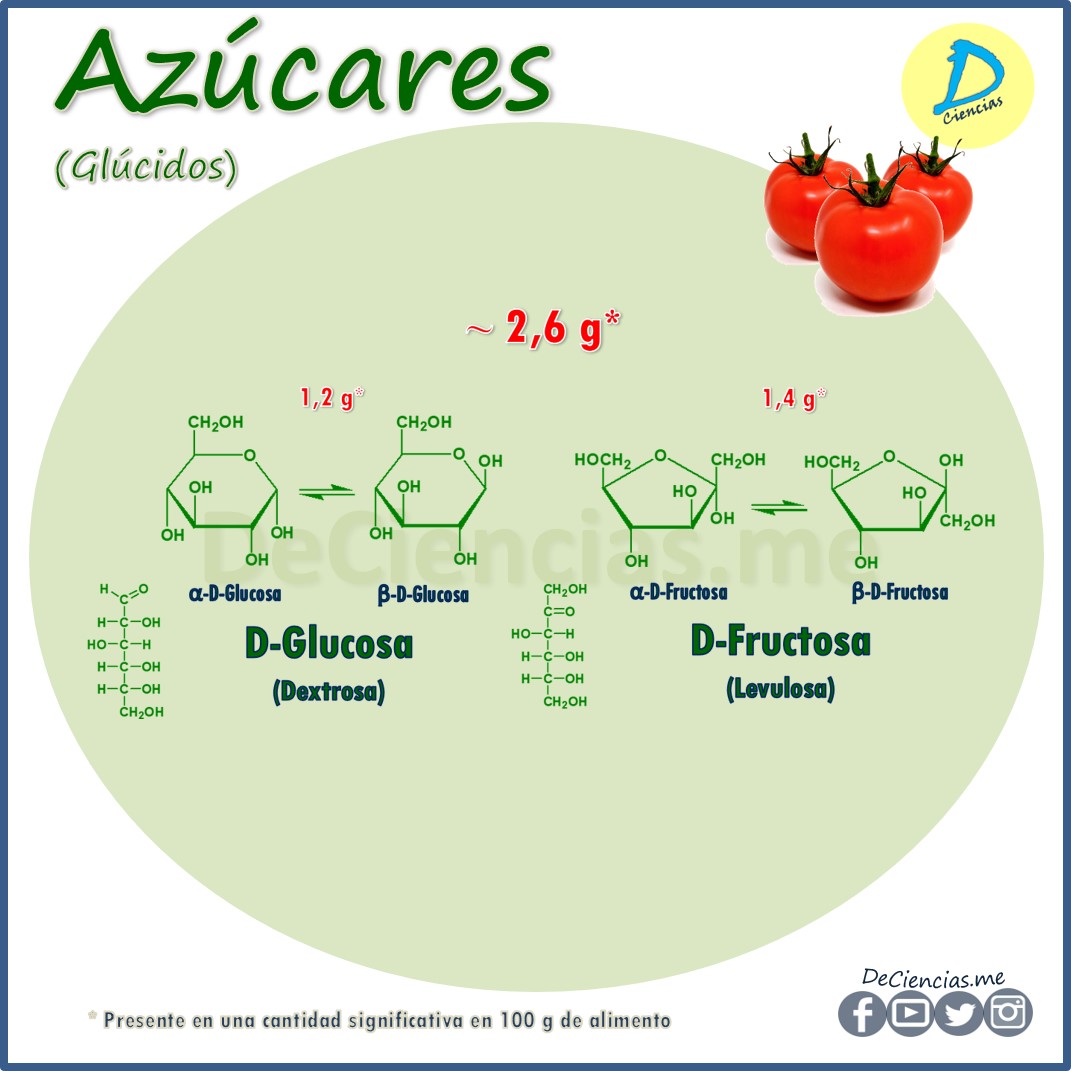 ¿Cuáles son los NUTRIENTES del Tomate?