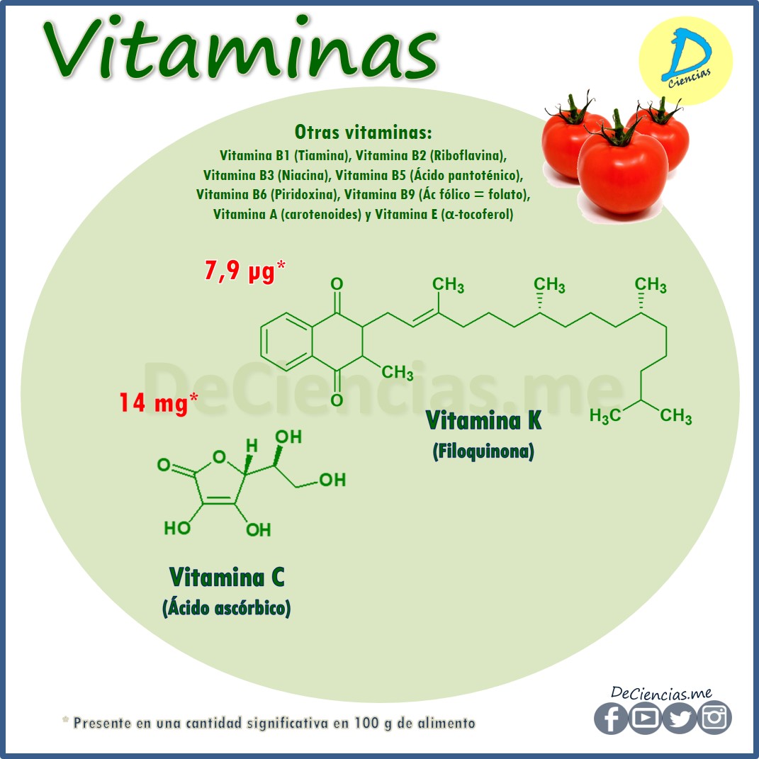 ¿Cuáles son los NUTRIENTES del Tomate?