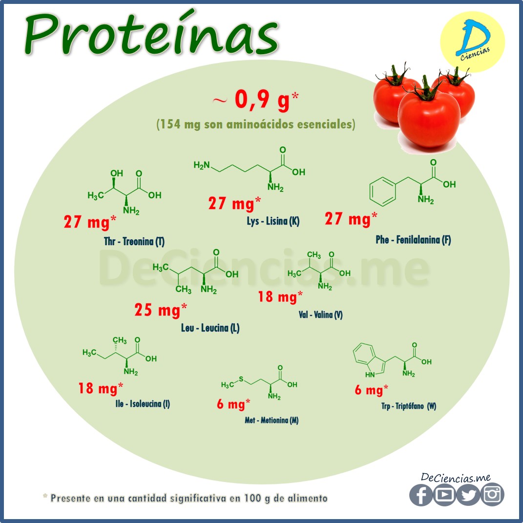 ¿Cuáles son los NUTRIENTES del Tomate?