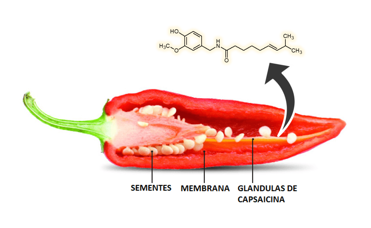 Estructura de la capsaicina