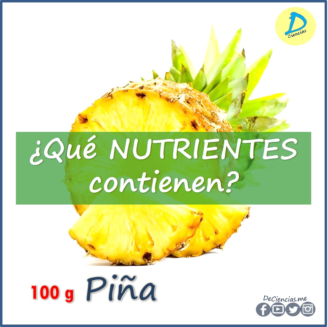 ¿Cuáles son los NUTRIENTES de la Piña?