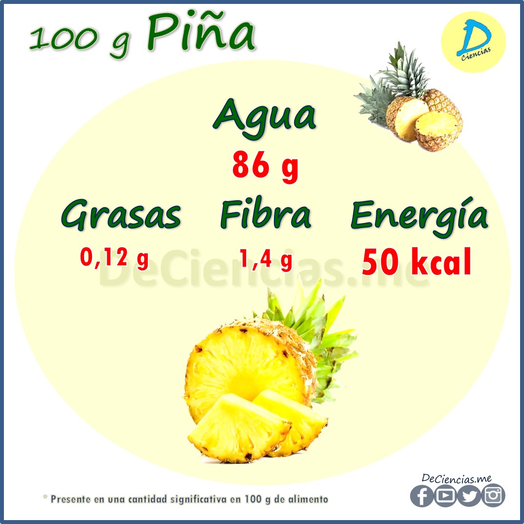 ¿Cuáles son los NUTRIENTES de la Piña?