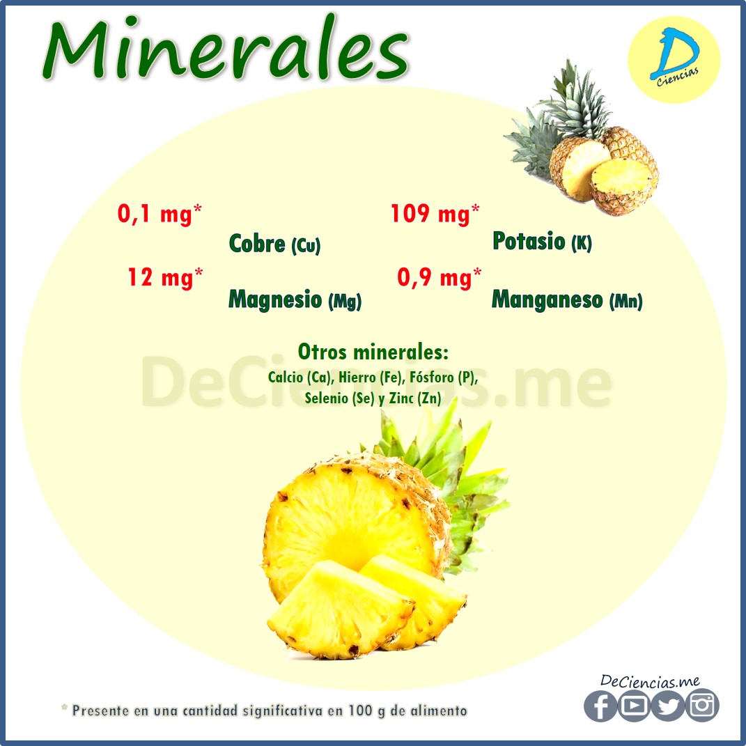 ¿Cuáles son los NUTRIENTES de la Piña?