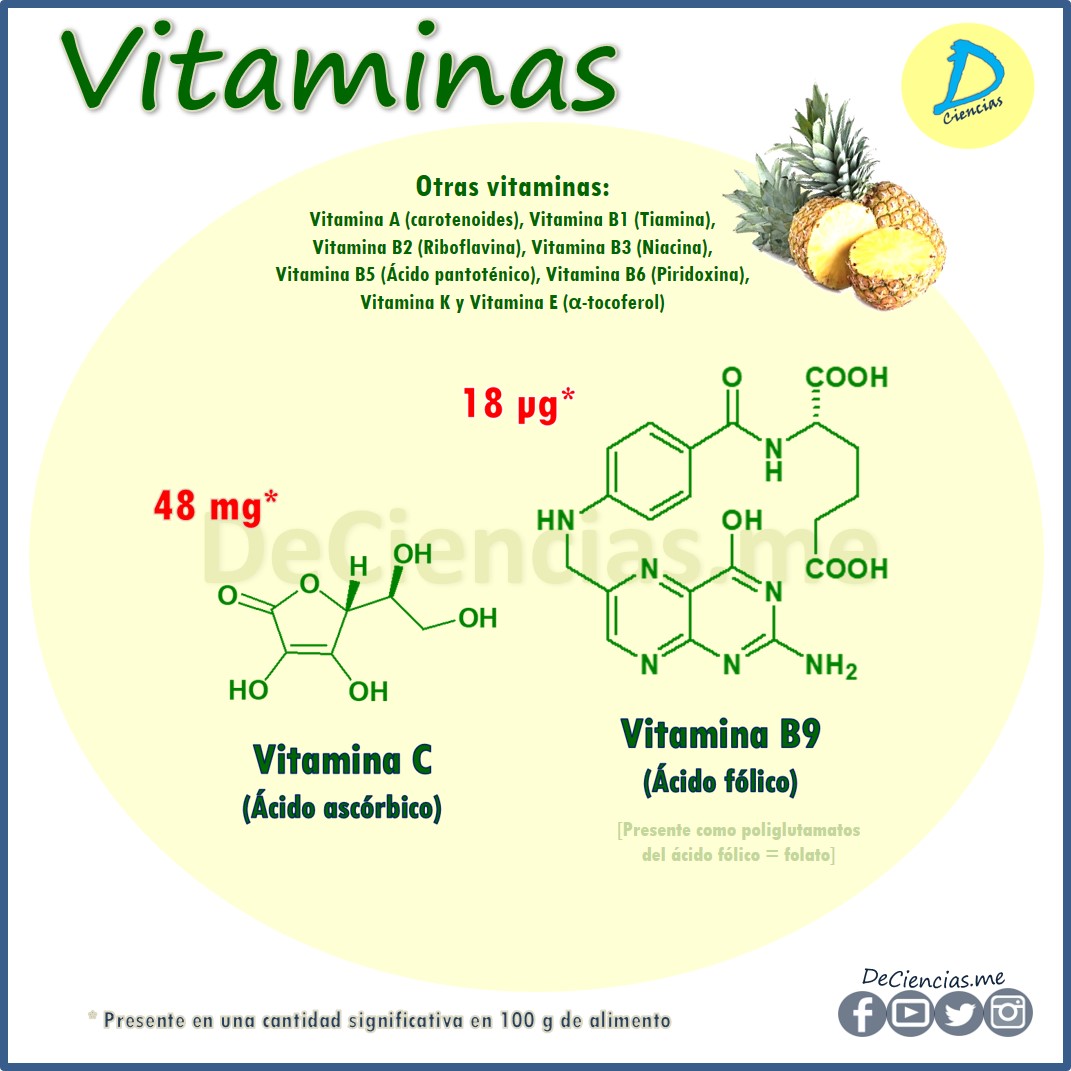 ¿Cuáles son los NUTRIENTES de la Piña?