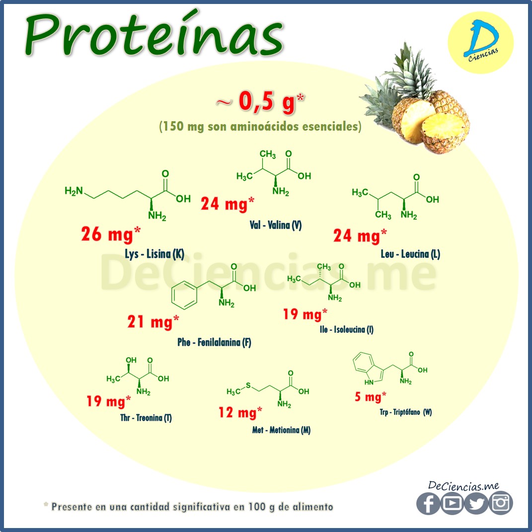 ¿Cuáles son los NUTRIENTES de la Piña?