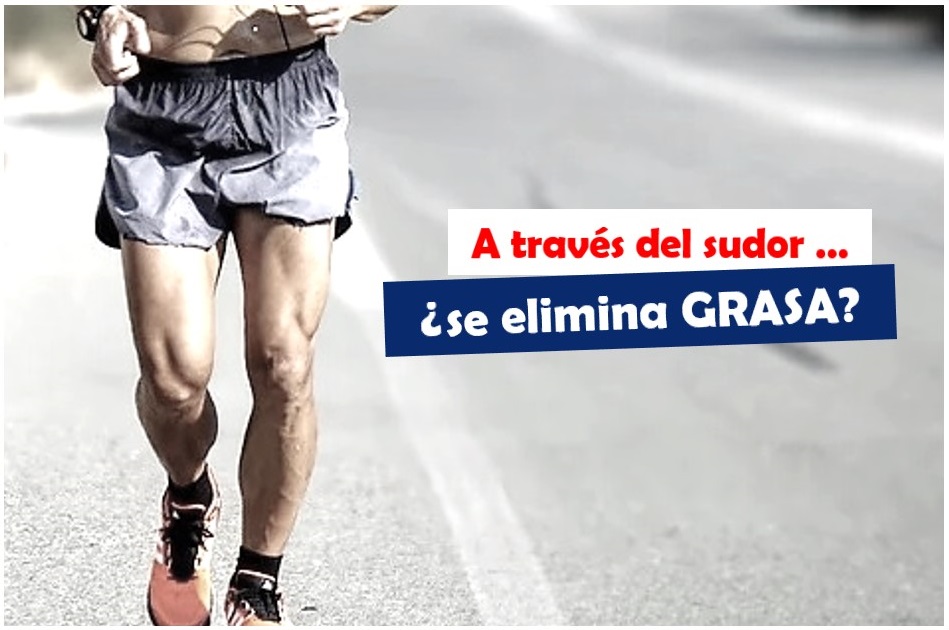 A través del sudor NO se elimina grasa - Diferencia entre sudar y quemar grasa - MiniPost de Feeldeporte, Un fisco de Ciencias, Mónica Blanco, divulgación científica del deporte