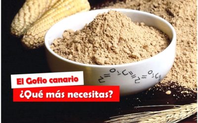 El Gofio Canario, ¿por qué debes incluirlo en tu dieta?